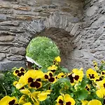 Appartamentino Su 2 Livelli * Dosso del Liro