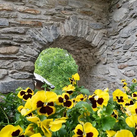 Appartamentino Su 2 Livelli *