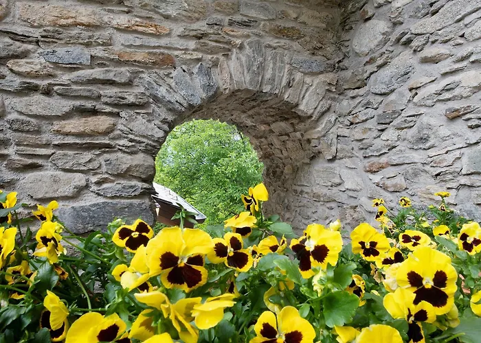 Appartamentino Su 2 Livelli *